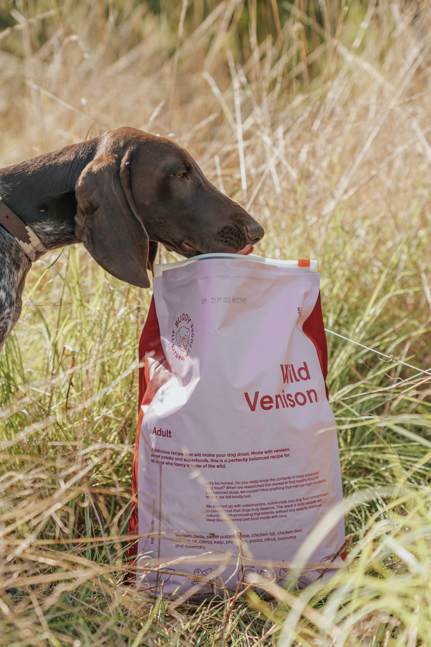 Buddy Wild Venison 12 kg