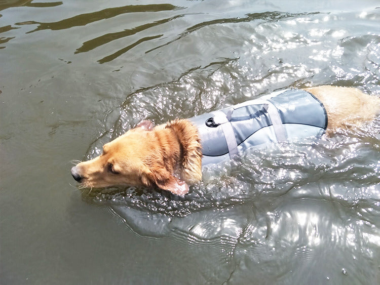 Dog Life Jacket