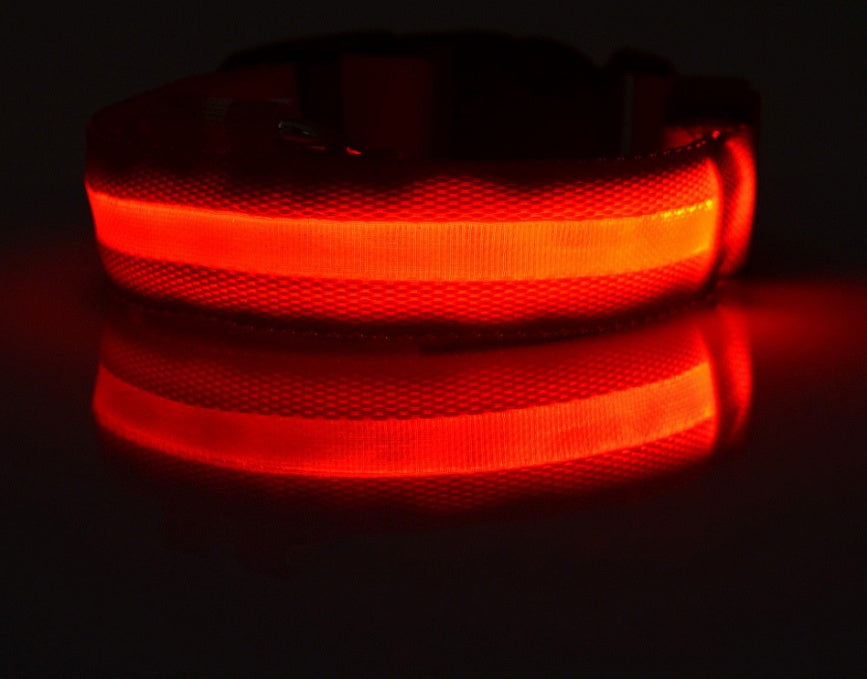LED-Nylon-Leuchthalsband - einstellbare Nachtsicherheit für Haustiere