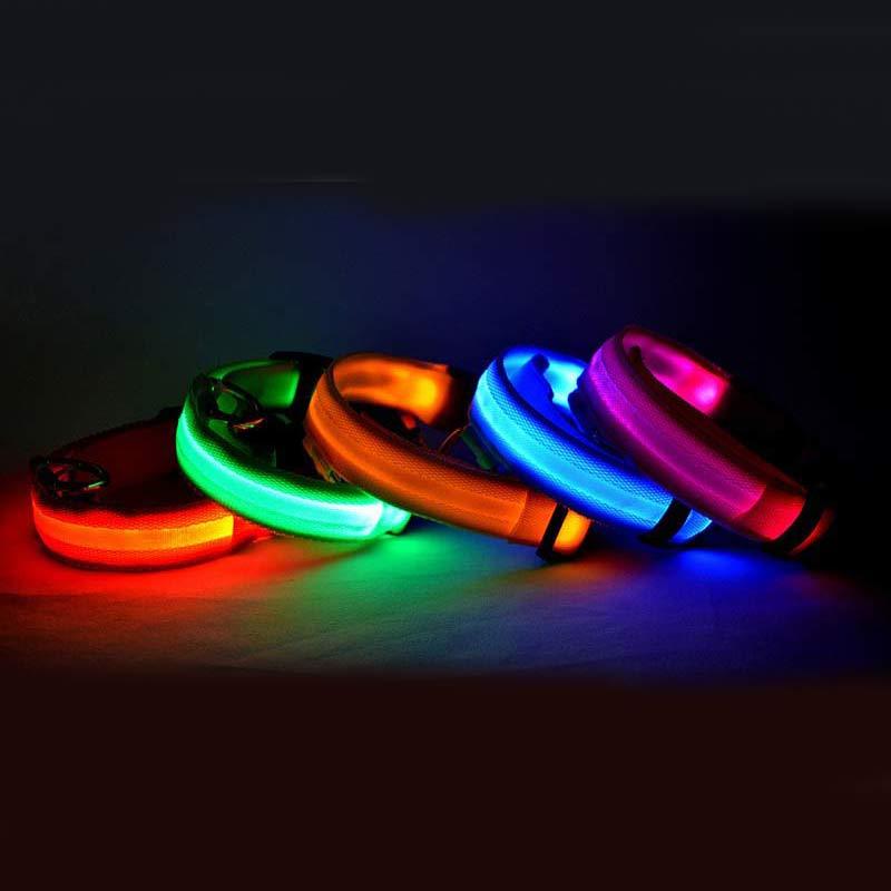 LED-Nylon-Leuchthalsband - einstellbare Nachtsicherheit für Haustiere