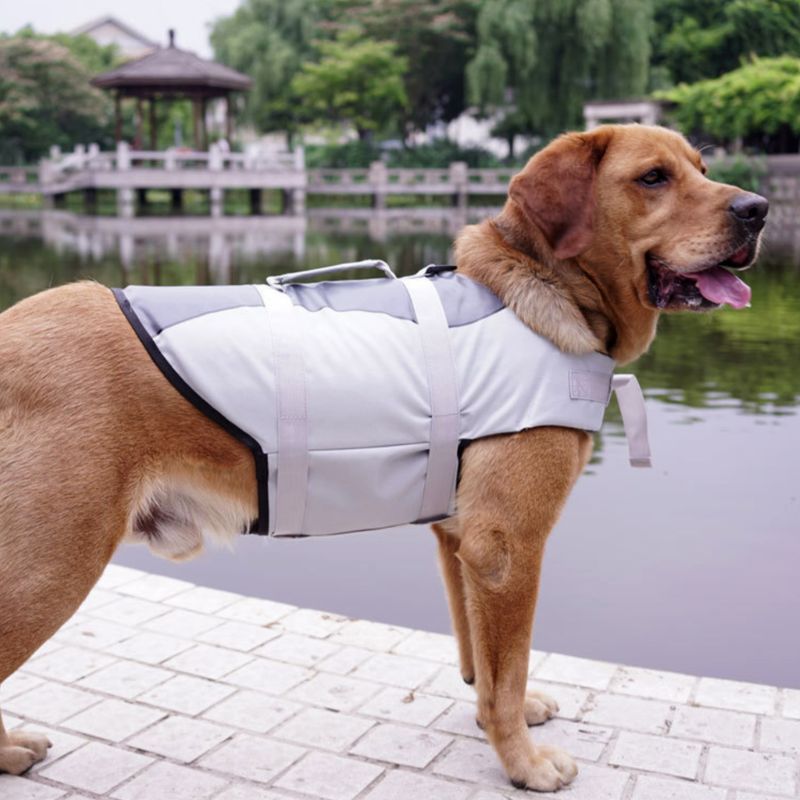 Dog Life Jacket