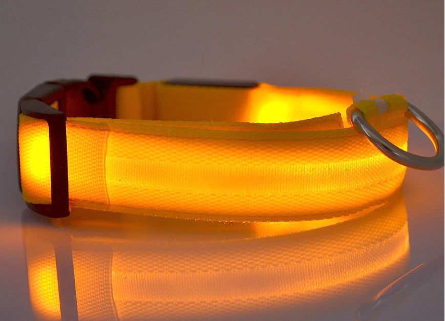 LED-Nylon-Leuchthalsband - einstellbare Nachtsicherheit für Haustiere