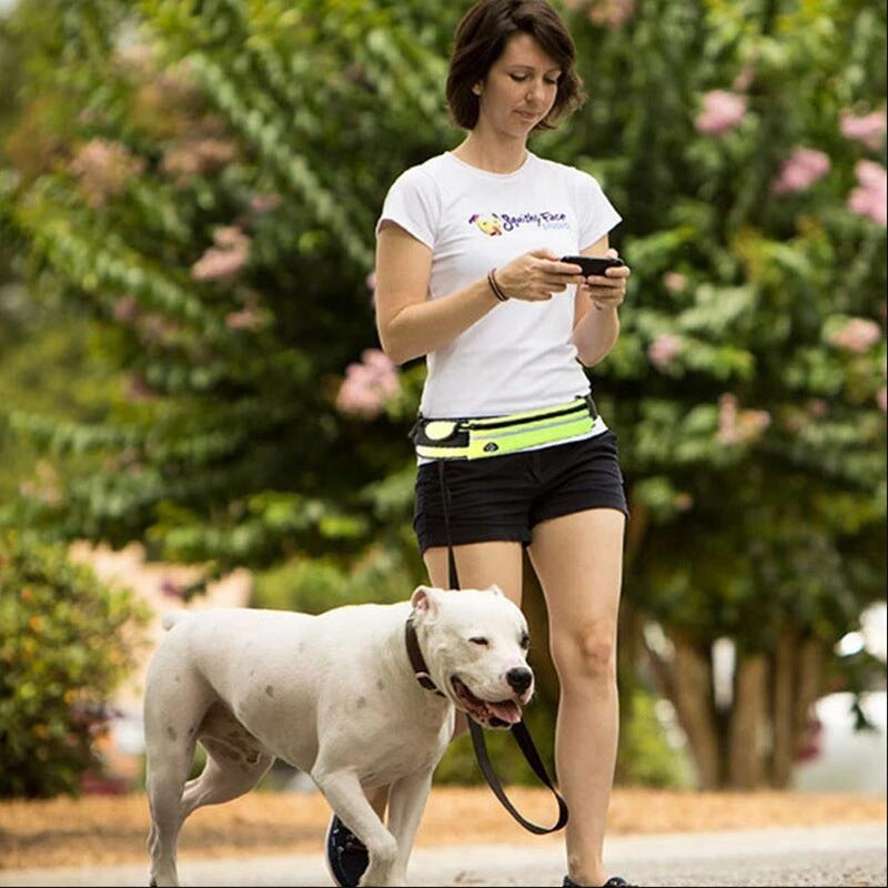Hands-Free Dog Leash & Training Belt with Bungee, Phone Pocket & Bottle Holder