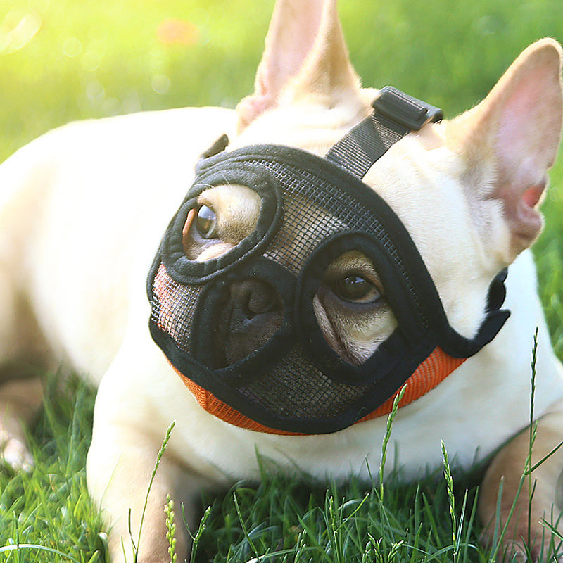 Atmungsaktiver Maulkorb für kleine Hunde & Französische Bulldoggen