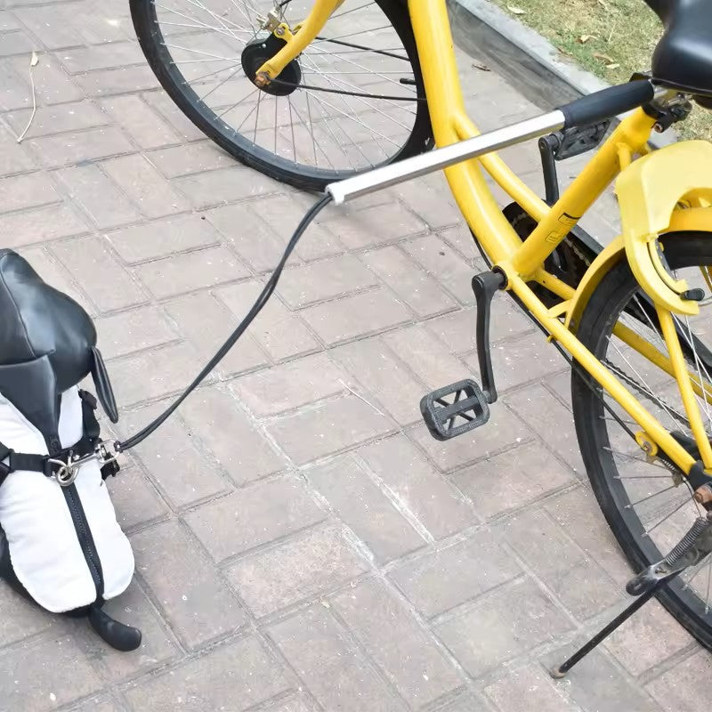 Freihändige Hundeleine für Fahrradtouren