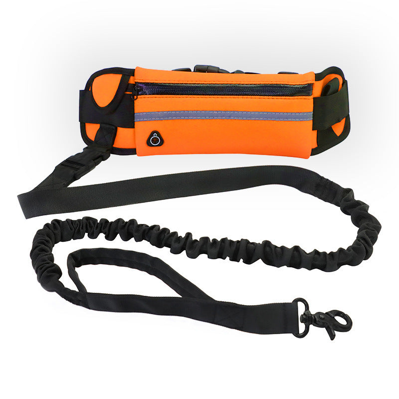 Hands-Free Dog Leash & Training Belt with Bungee, Phone Pocket & Bottle Holder