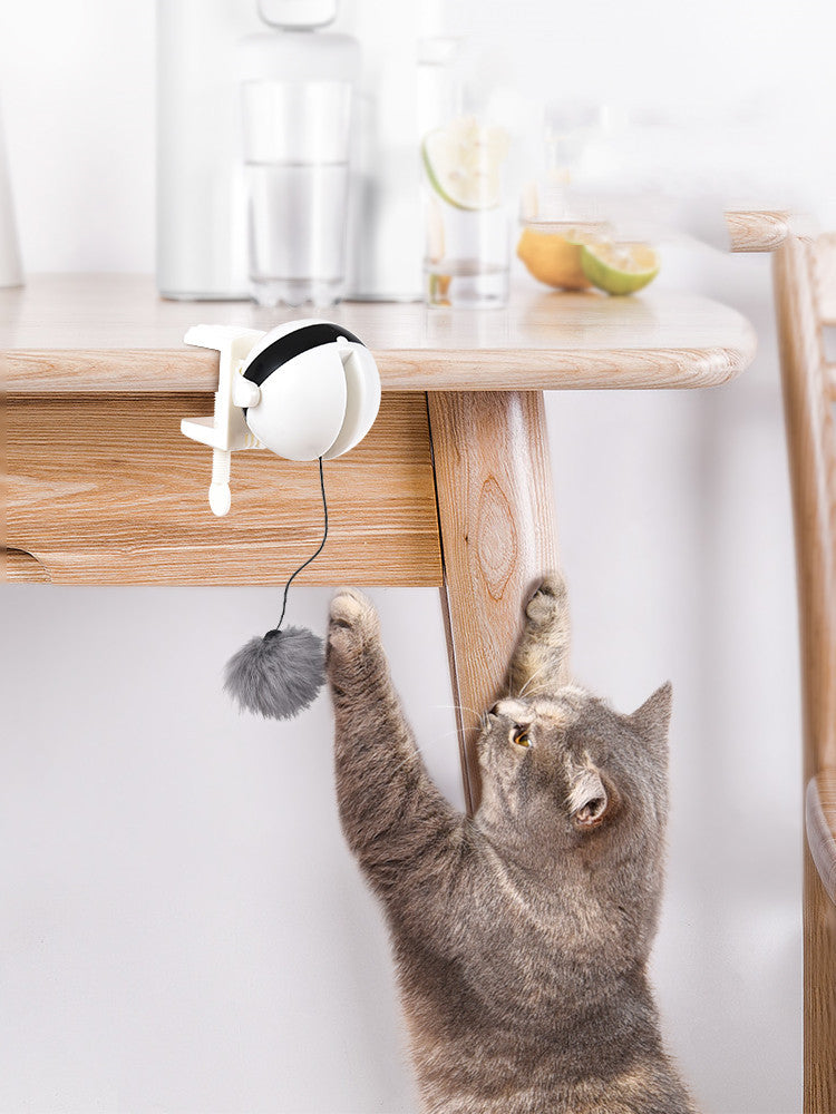 Smart Interactive Electric Cat Toy – Automatic Lifting Teaser Ball