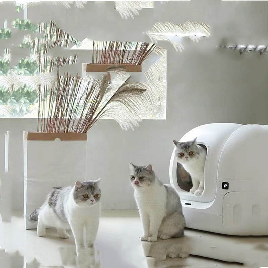 Fully Automated Cat Litter Box