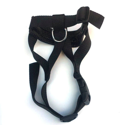 Breathable Nylon Dog Muzzle – Anti-Bite, Anti-Bark & Drink-Friendly