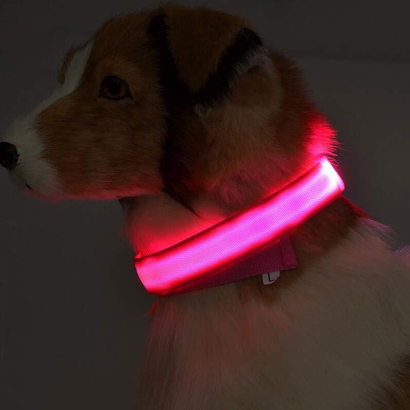 LED Nylon Glow Collar - Adjustable Night Safety for Pets