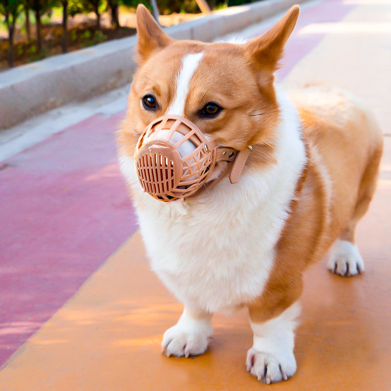 Anti-bite, Anti-calling And Anti-eating Pet Muzzle