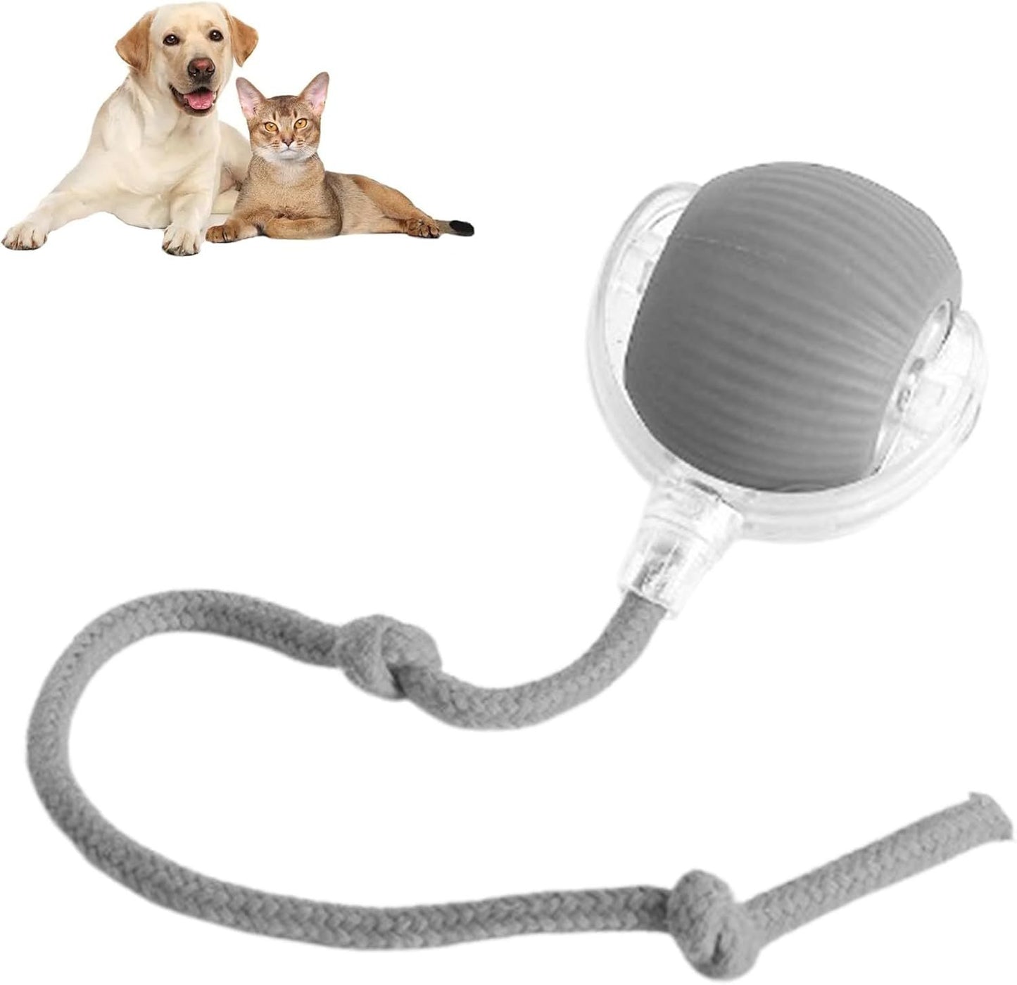 Smart Rolling Ball Toy for Dogs & Cats