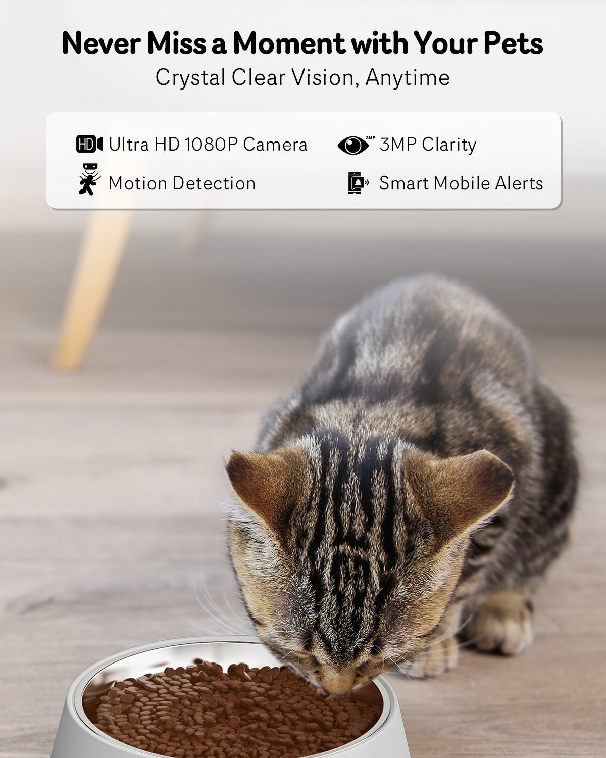 Smart Automatic Cat Feeder with Camera and Audio